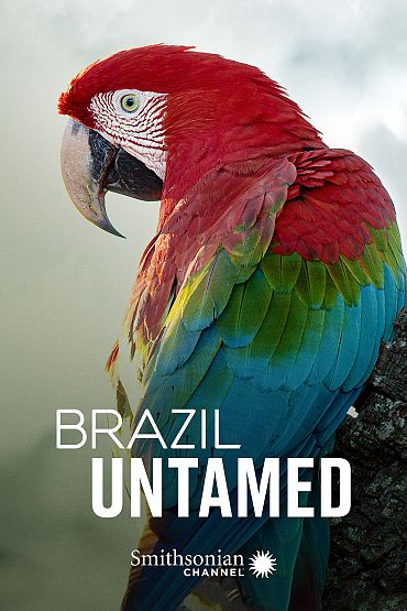 Brazil Untamed - Monkey Garden