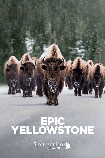 Epic Yellowstone - Fire and Ice