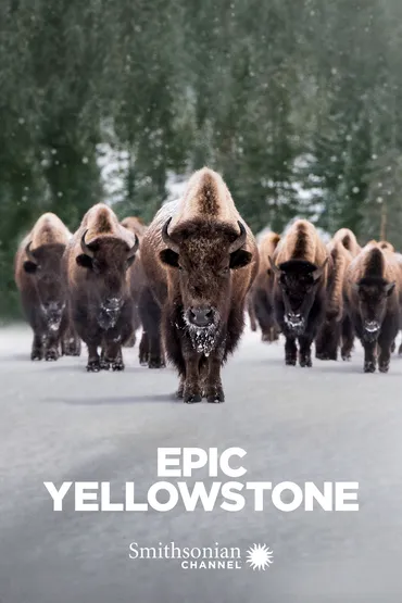 Epic Yellowstone