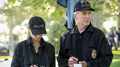 Which NCIS Should You Guest Star On?