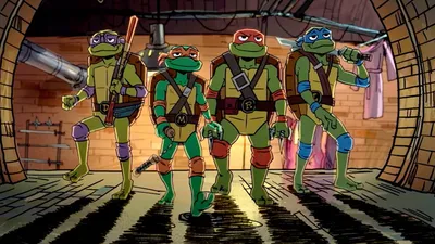 Tales Of The Teenage Mutant Ninja Turtles: Which Turtle Are You?