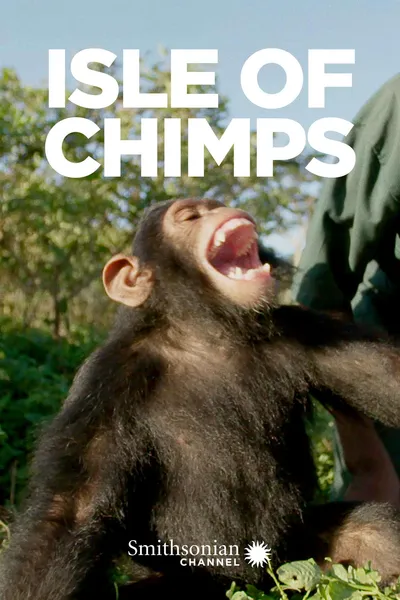 Isle of Chimps