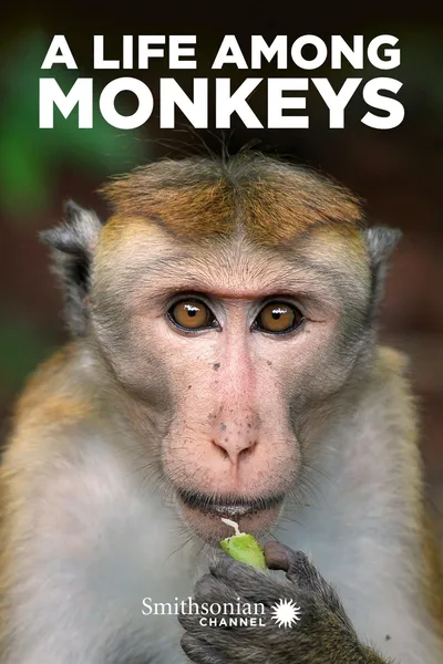 A Life Among Monkeys