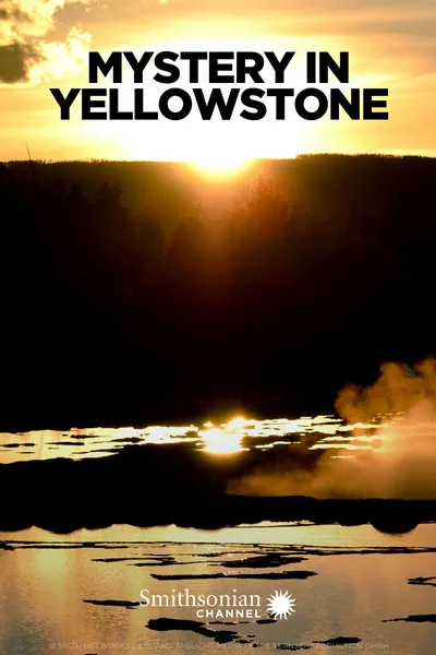 Mystery In Yellowstone