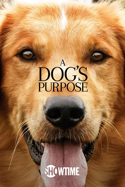 A Dog's Purpose
