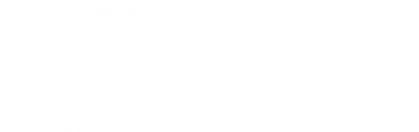 The Guest 