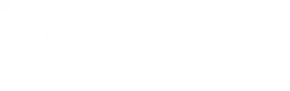 Winter Spring Summer or Fall 