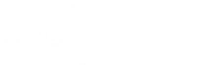 Couples Therapy 