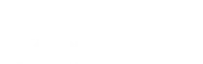 Blue Bloods 