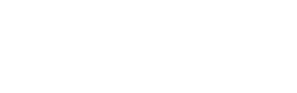 PULISIC 