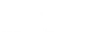 UFC 330 