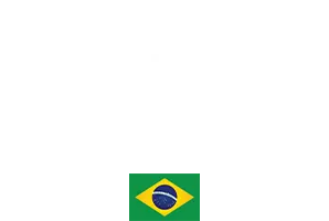 UFC Current Champions: Alex Pereira