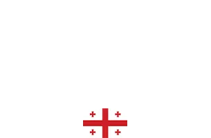 UFC Current Champions: Ilia Topuria