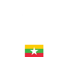 UFC Current Champion: Joshua Van