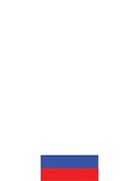 UFC Current Champion: Petr Yan