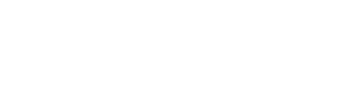 Paramount+ Original graphic