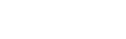 Paramount+ Original graphic