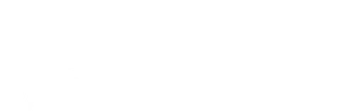 UFC Fight Night