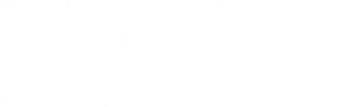 The Last Cowboy