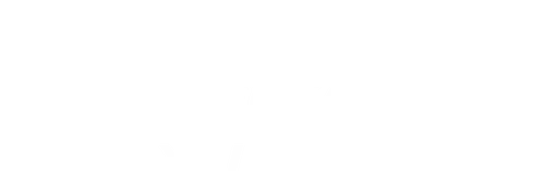 Zuffa Boxing