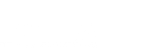 LOLLA: The Story of Lollapalooza