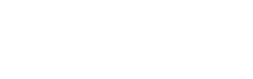 Mafia Spies