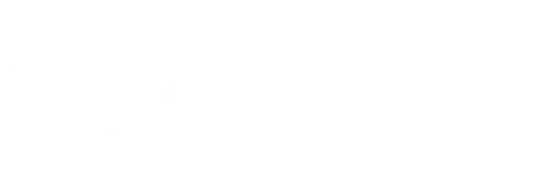 SEAL Team