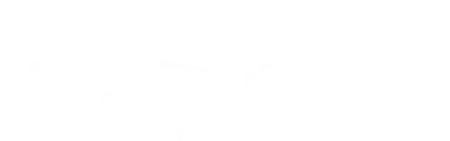 Black Ink Crew New York