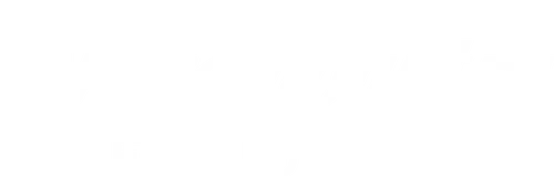 Paramount+ Original graphic