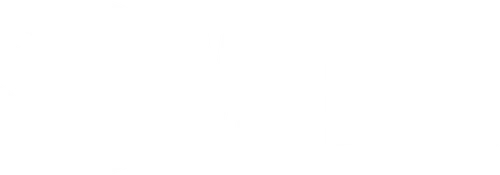 Paramount+ Original graphic