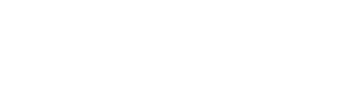 The Good Fight