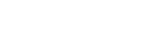 Man in the Middle