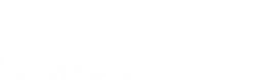 Love Fraud