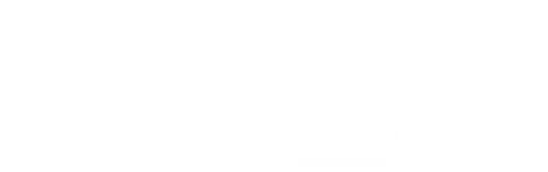 Danger Force